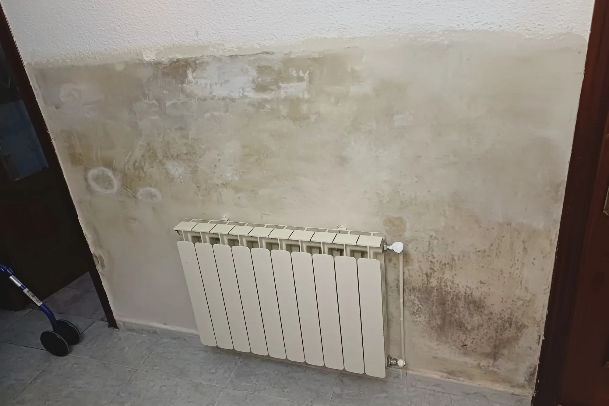 Pared con manchas extensas de humedad antes de la intervención
